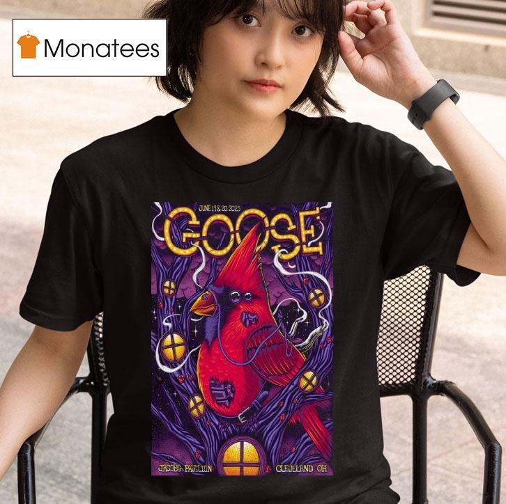 Goose At Jacobs Pavilion Cleveland Oh On June T Shirt