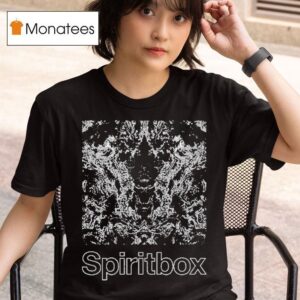 Spiritbox Kaleidoscope Faded T Shirt