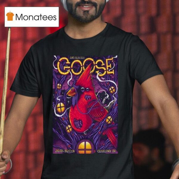 Goose At Jacobs Pavilion Cleveland Oh On June T Shirt