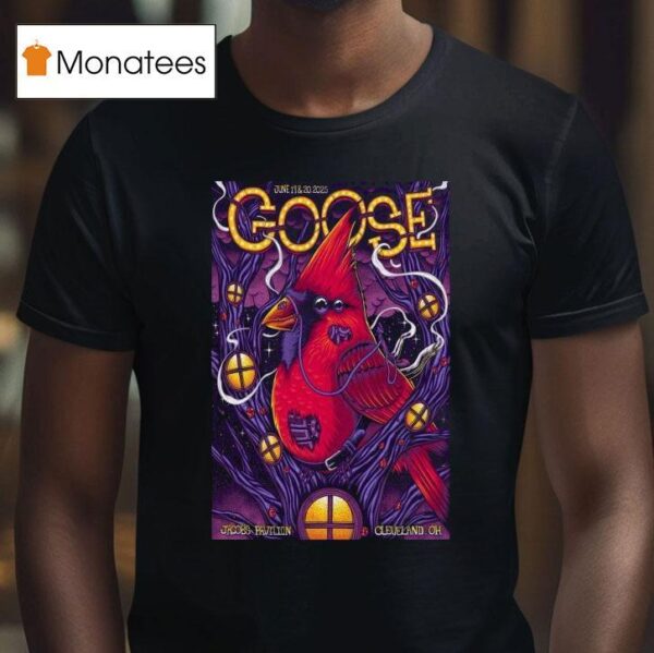 Goose At Jacobs Pavilion Cleveland Oh On June T Shirt