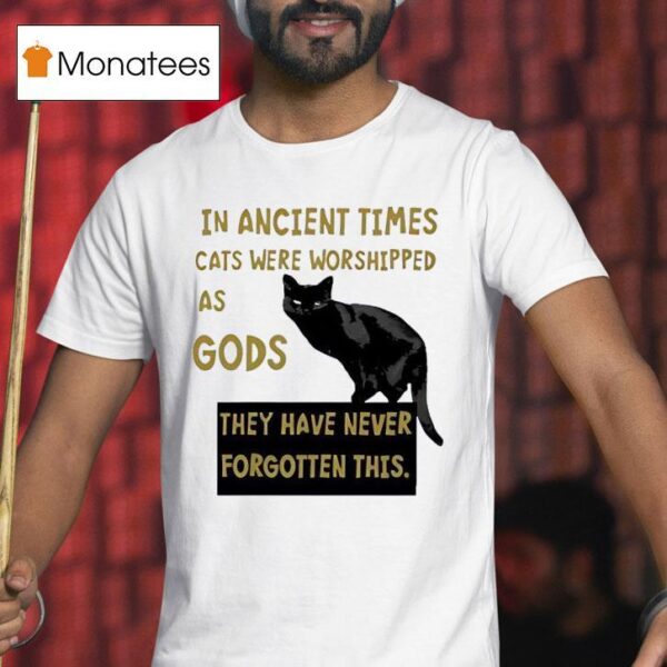 Black Cat In Ancient Times Cats Were Worshipped As Gods T Shirt