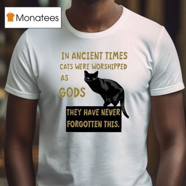 Black Cat In Ancient Times Cats Were Worshipped As Gods T Shirt