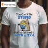 Minion You Can T Fix Stupid But You Can Numb It With A T Shirt