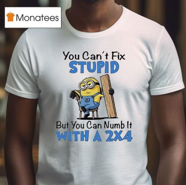 Minion You Can T Fix Stupid But You Can Numb It With A T Shirt