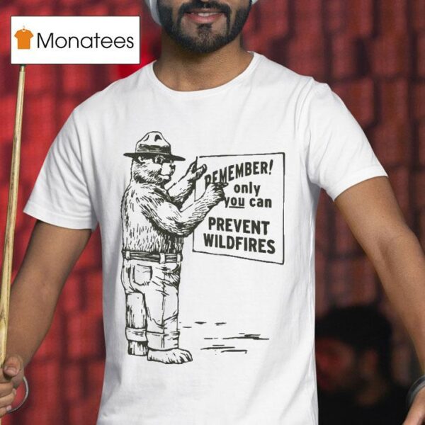 Remember Only You Can Prevent Wildfires Smokey Bear T Shirt