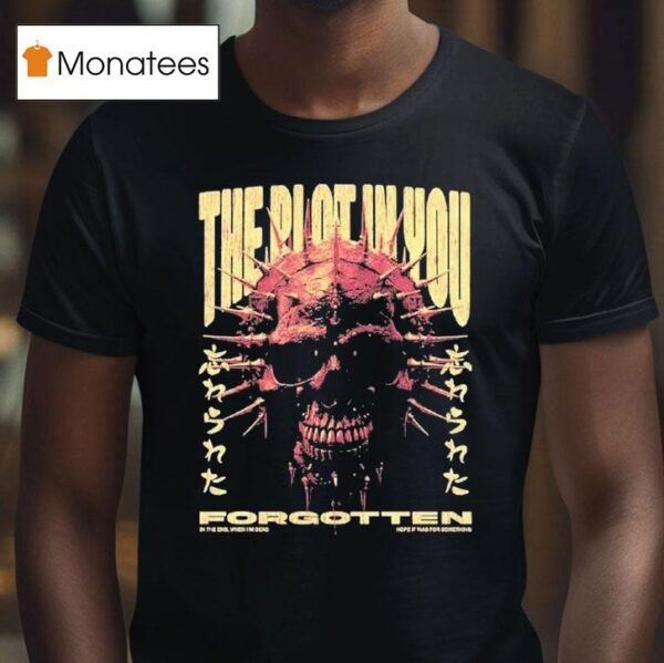 The Plot In You In The End When I M Dead Hope It Was For Something Forgotten T Shirt