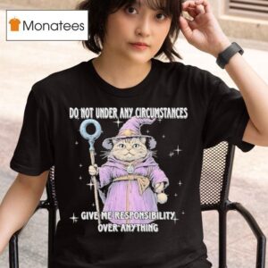 Catdalf The Wizard Do Not Under Any Circumstances Give Me Responsibility Over Anything T Shirt