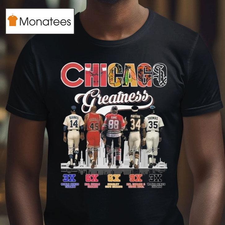Chicago City Sports Greatness Of Champions Signatures T Shirt Chicago City Sports Greatness Of Champions Signatures T Shirt