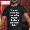 Goose The Band You Say Looks Like Rain Today T Shirt